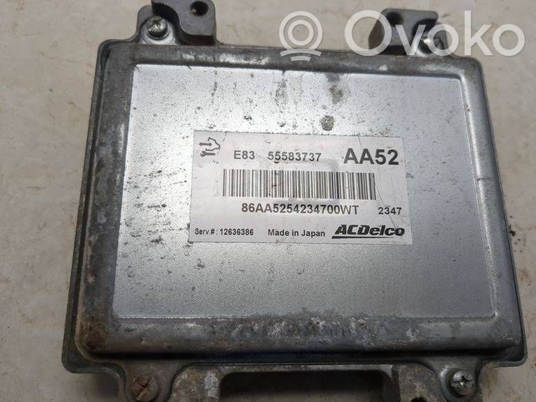 Sterownik / Moduł ECU   55583737,12636386,86AA5254234700WT