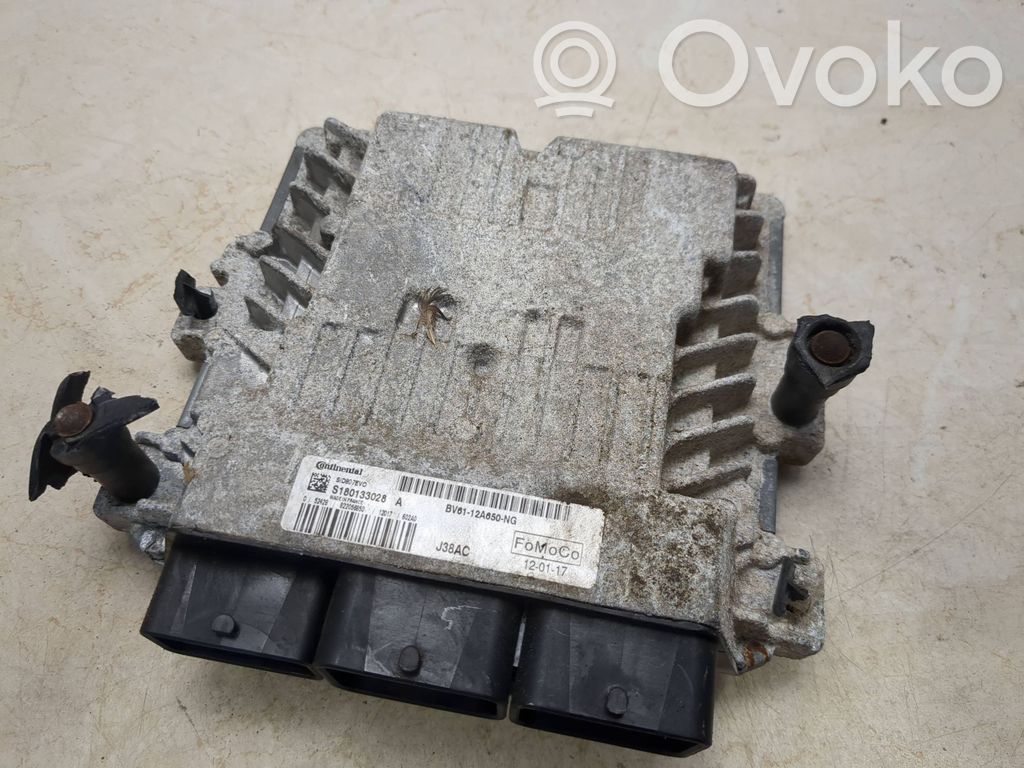 Ford Focus Engine control unit/module 