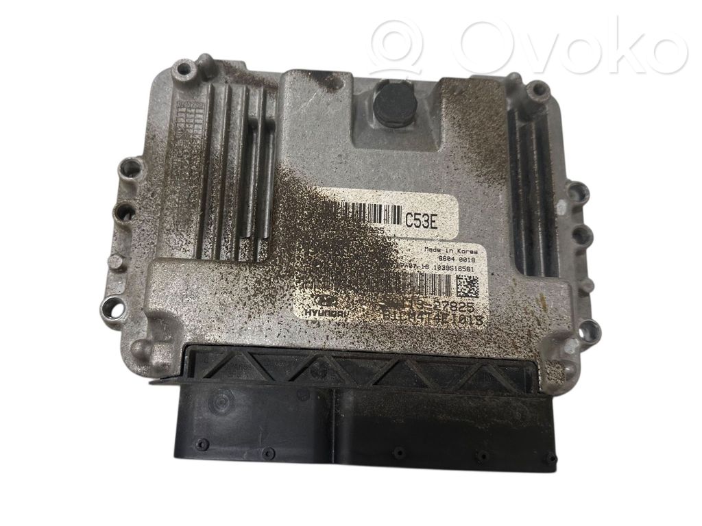 Hyundai Santa Fe Engine control unit/module 