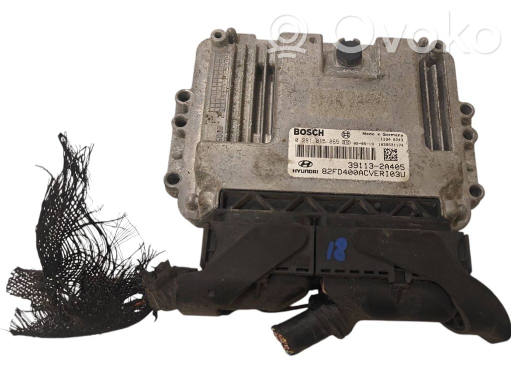 Engine control unit/module   391132A405,0281015865