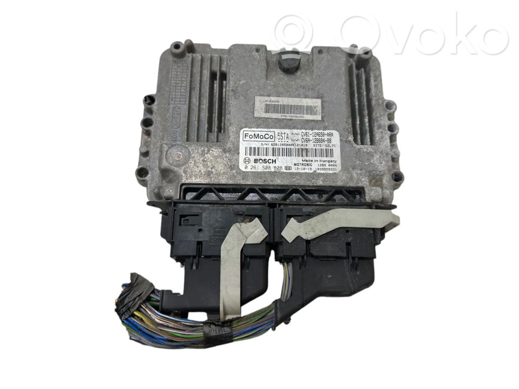 Ford Focus Engine control unit/module 