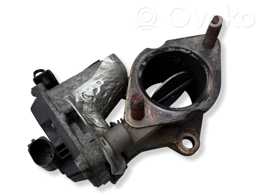 Hyundai Santa Fe Throttle body valve 