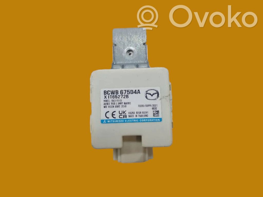 Immobilizer control unit/module   SKE11601