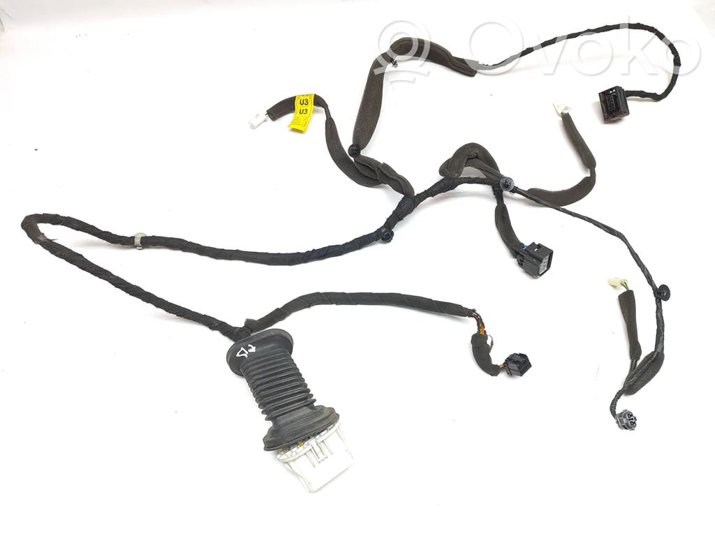 Opel Antara Priekšējo durvju vadu instalācija 