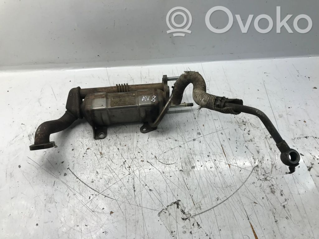 Chłodnica spalin EGR   256800R020,13063850001