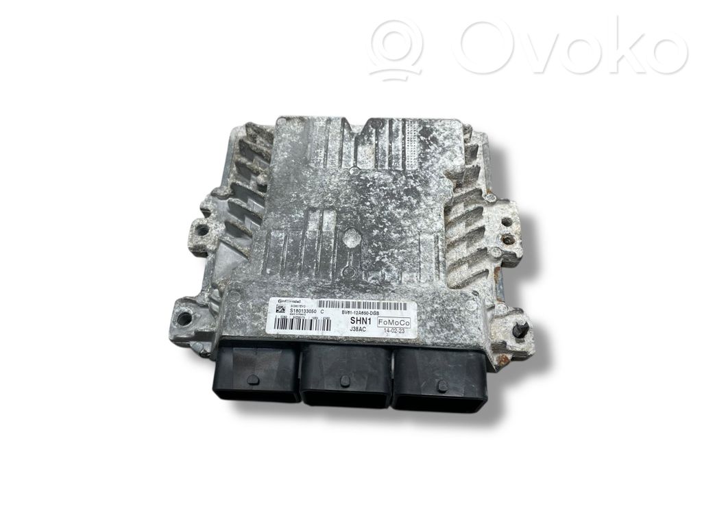 Ford Focus Engine control unit/module 