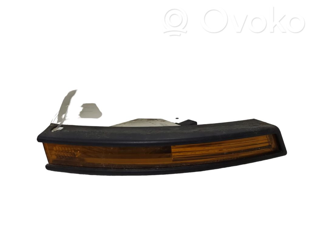 Volkswagen PASSAT B6 Front indicator light 