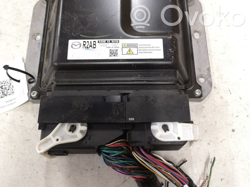Engine control unit/module   R2AB18881N,R2AB,K4238