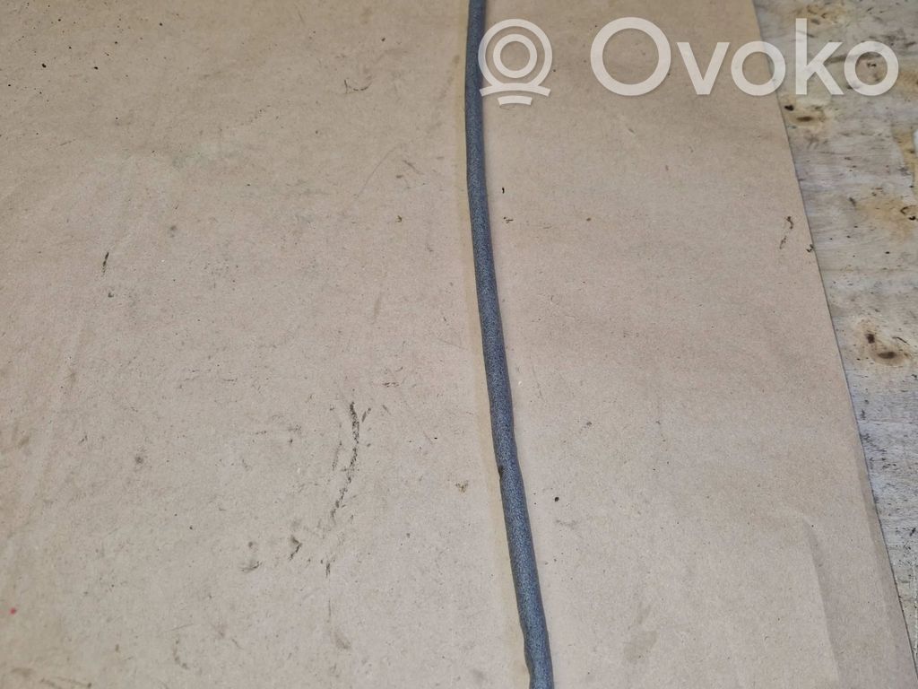 BMW 1 E81 E87 Front door cable line 