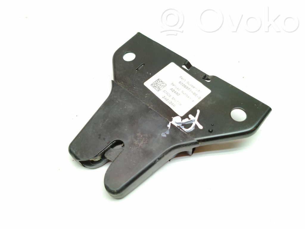 Tesla Model S Chiusura/serratura vano motore/cofano 