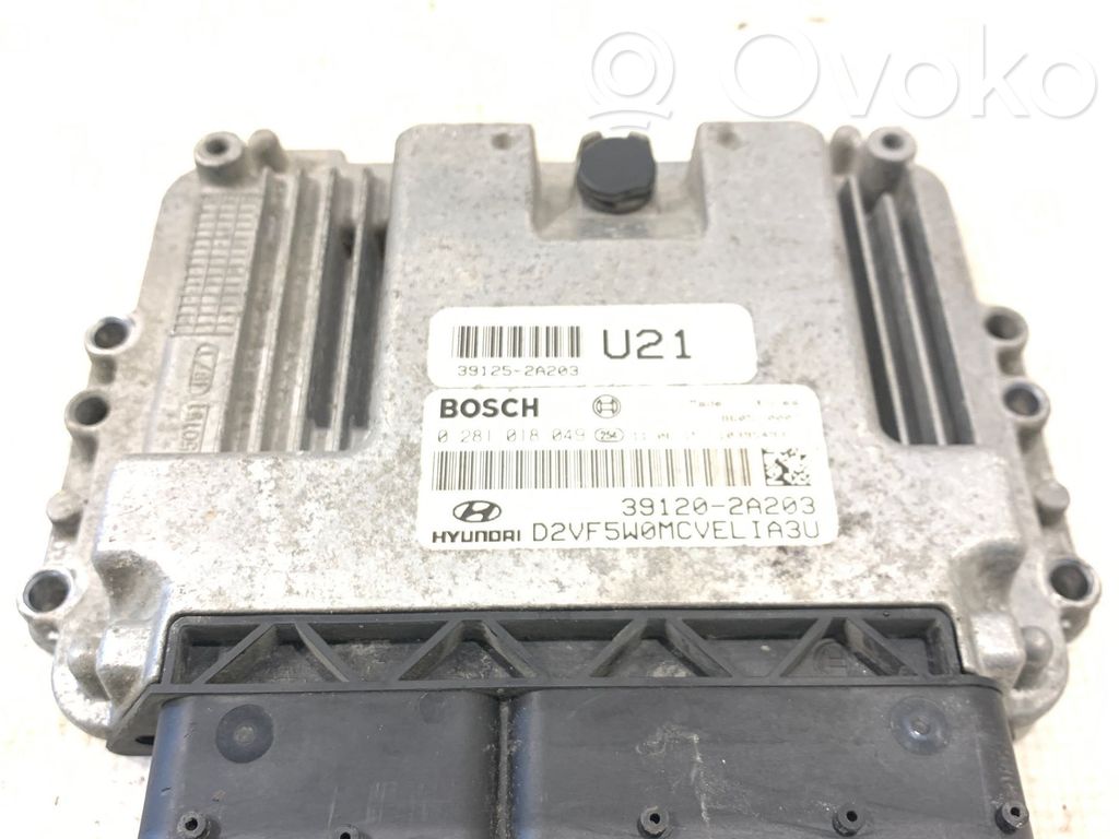 Engine control unit/module   391202A203,391252A203,0281018049