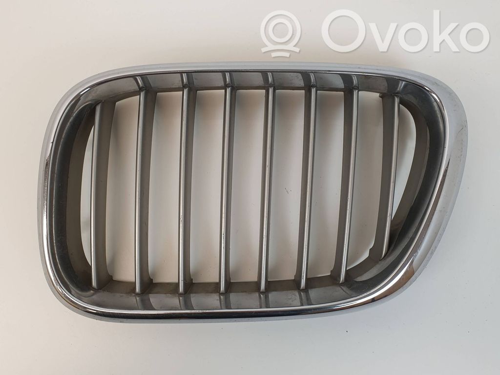 BMW X5 E53 Grotelės viršutinės 