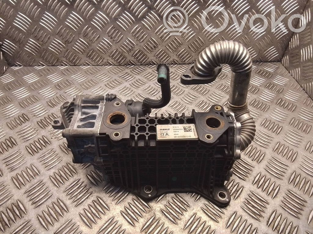 Peugeot 308 EGR dzesētājs 