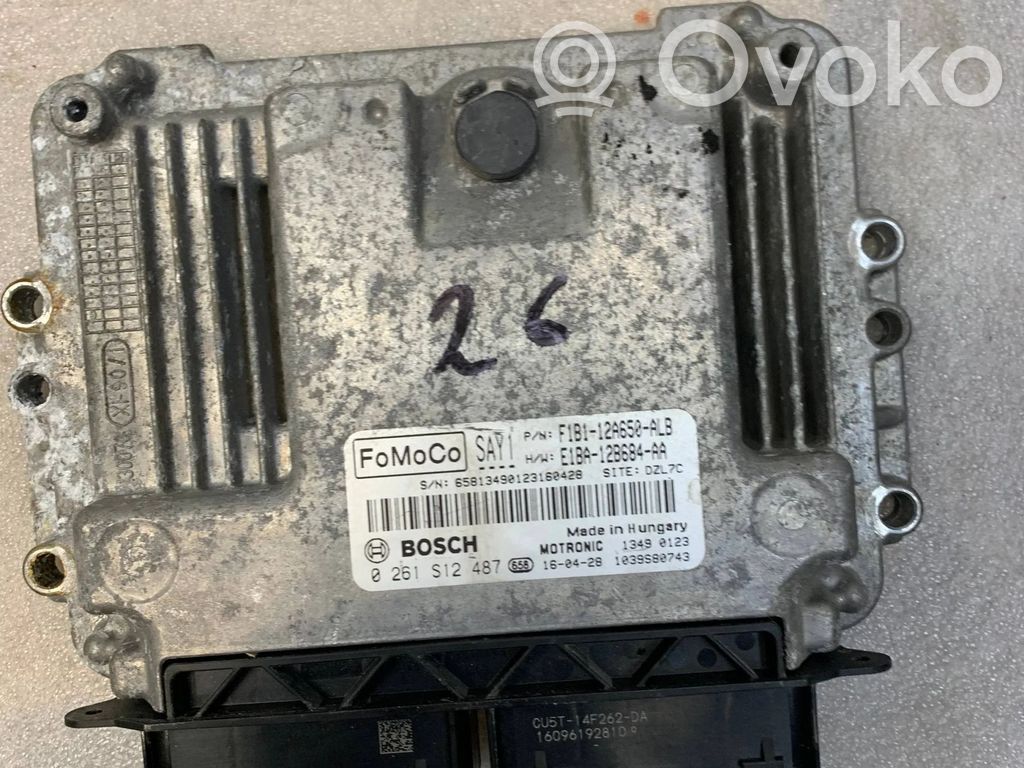 Ford Fiesta Other control units/modules 