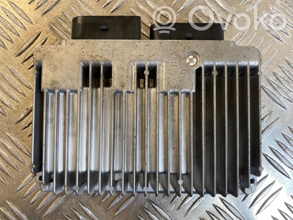 Engine control unit/module   7516809,7507493,7516207