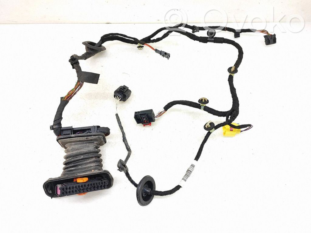 Volkswagen PASSAT B7 Cablaggio porta anteriore
