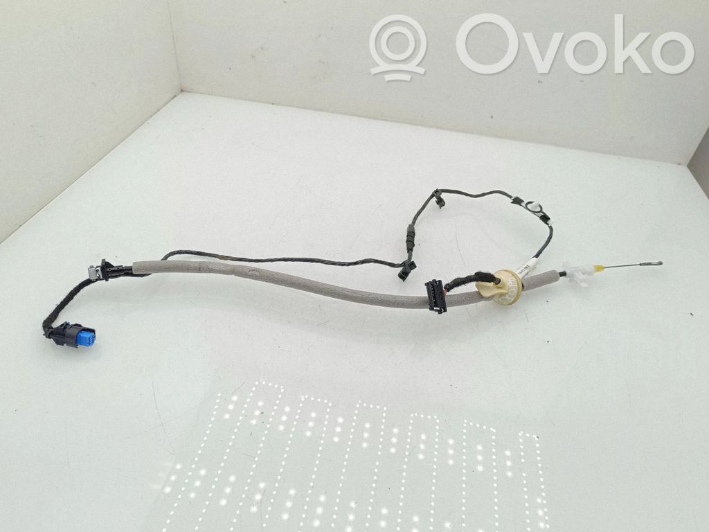 Volkswagen ID.4 Cavo maniglia portiera anteriore
