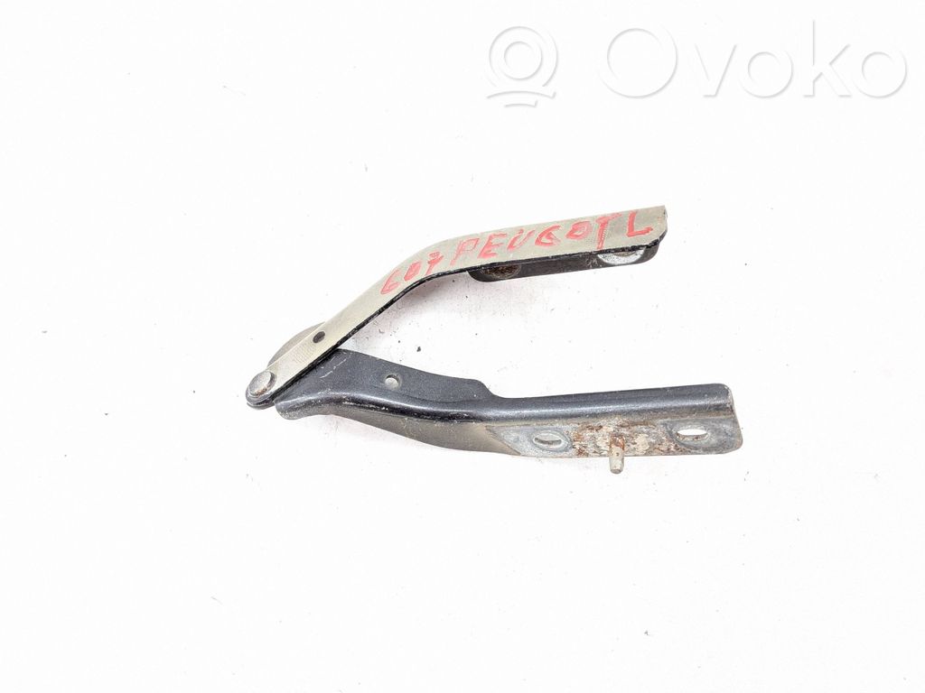 Peugeot 607 Bisagras del capó/tapa del motor 