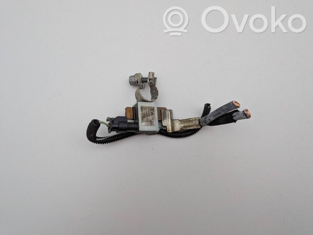 Citroen C3 Cavo negativo messa a terra (batteria)