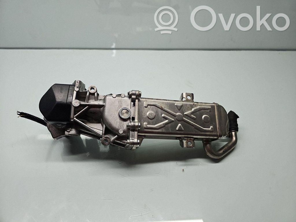 Volkswagen Golf VI Valvola di raffreddamento EGR 