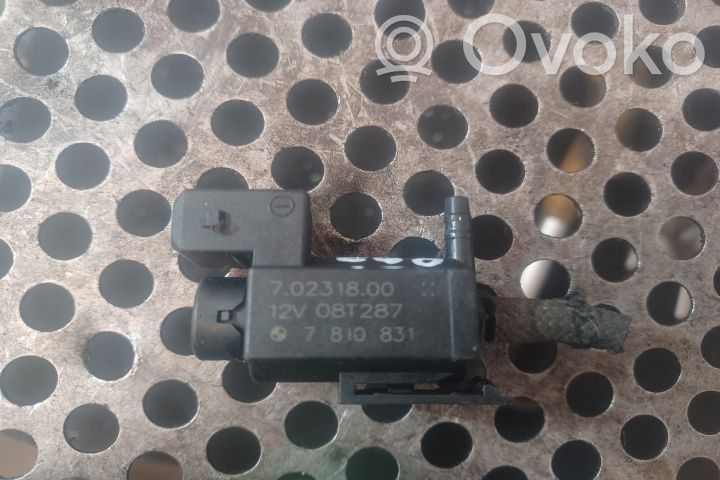 Vacuum valve
