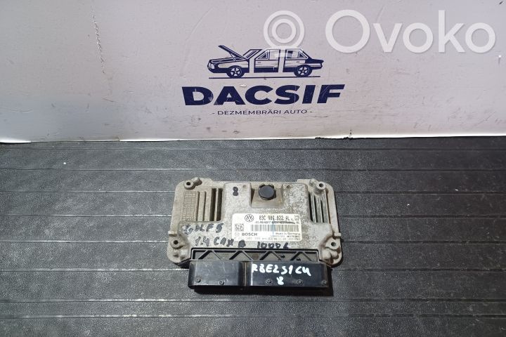 Engine control unit/module ECU