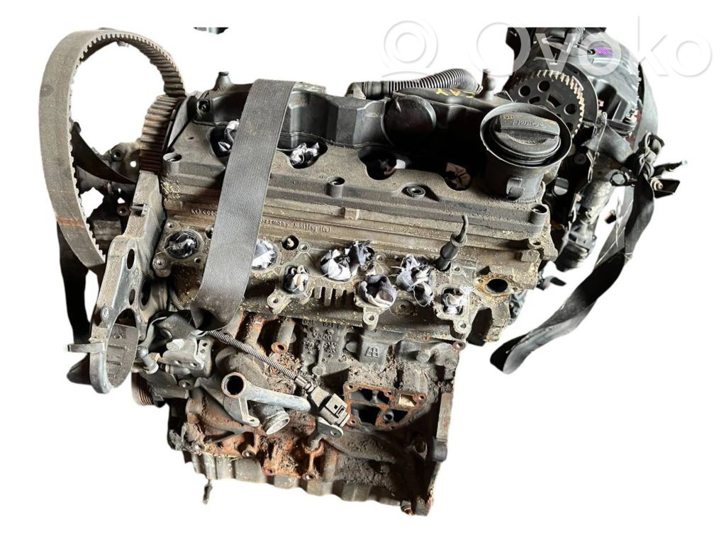 Engine   CAY