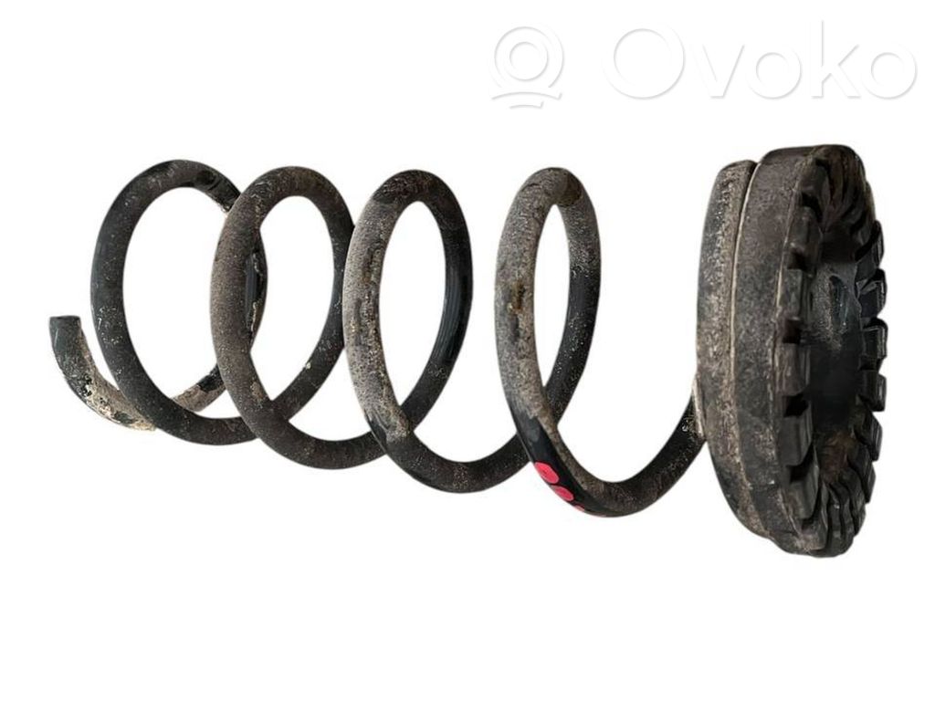 Rear coil spring