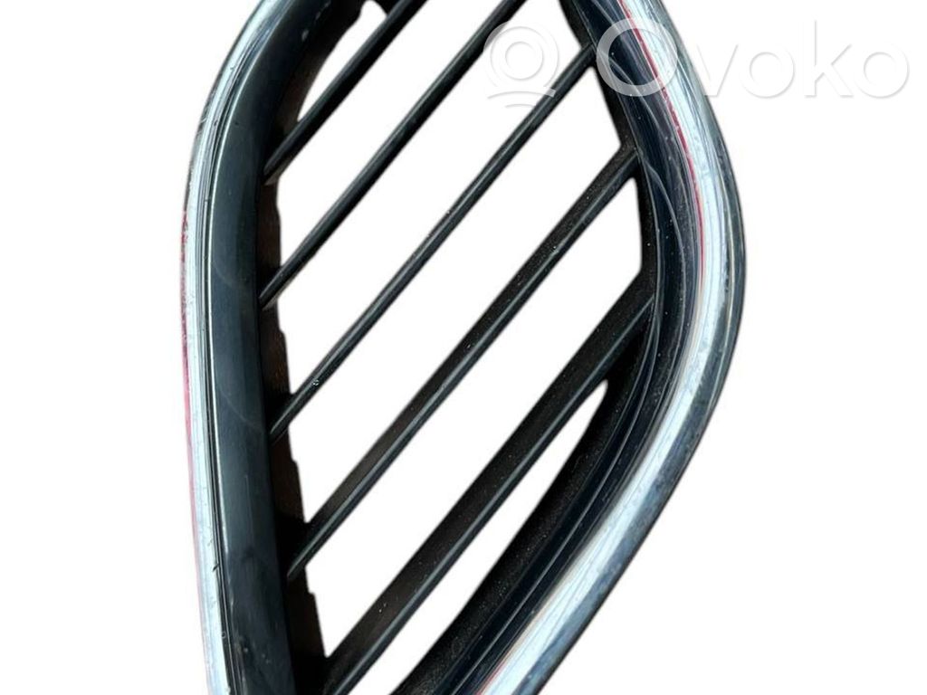 Front grill   5142864