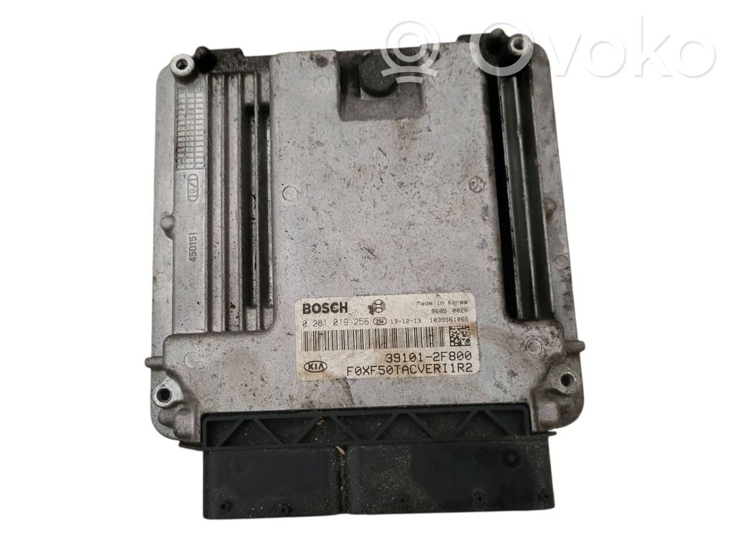 KIA Sorento Engine control unit/module 