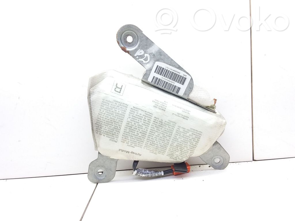 Front door airbag   D85221