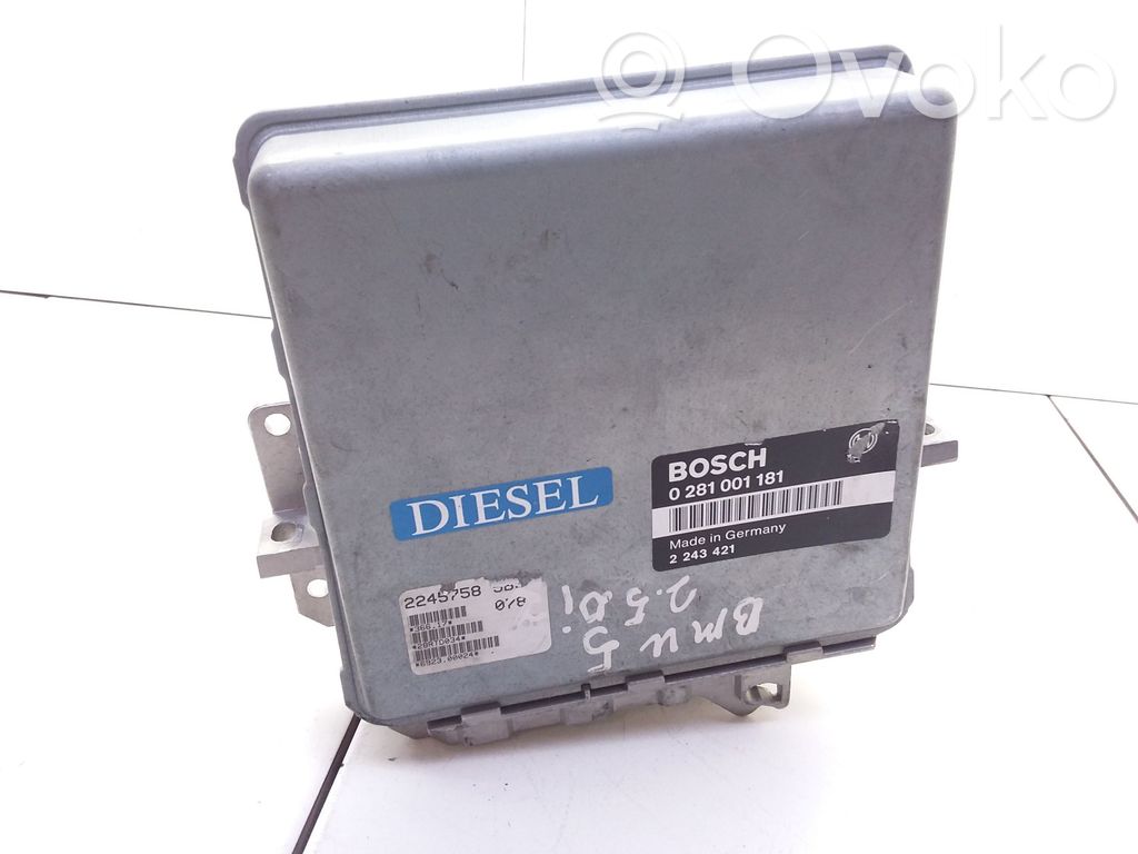 BMW 5 E34 Engine control unit/module 