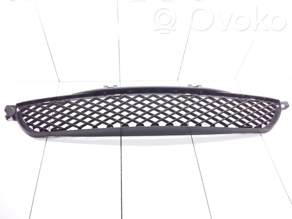 Front bumper lower grill
