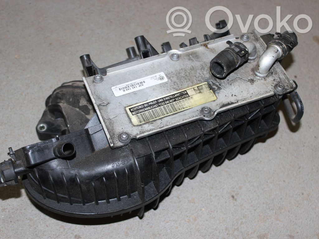 Volkswagen Golf VI Kolektorius įsiurbimo 