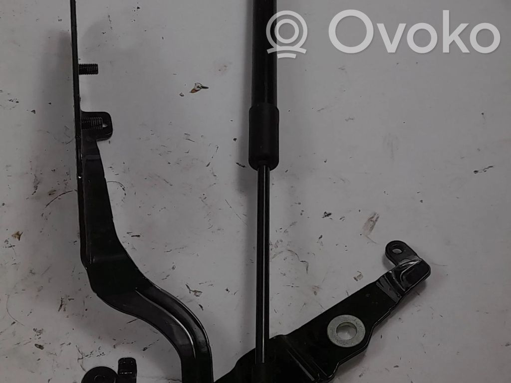 Audi A5 Tailgate/trunk/boot hinge 