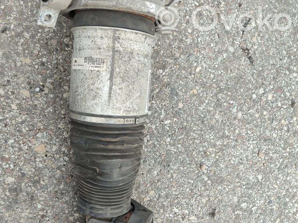 Porsche Cayenne (9PA) Stoßdämpfer hinten 