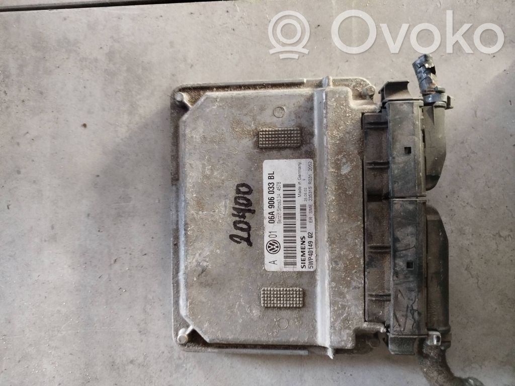 Engine control unit/module   06A906033BL