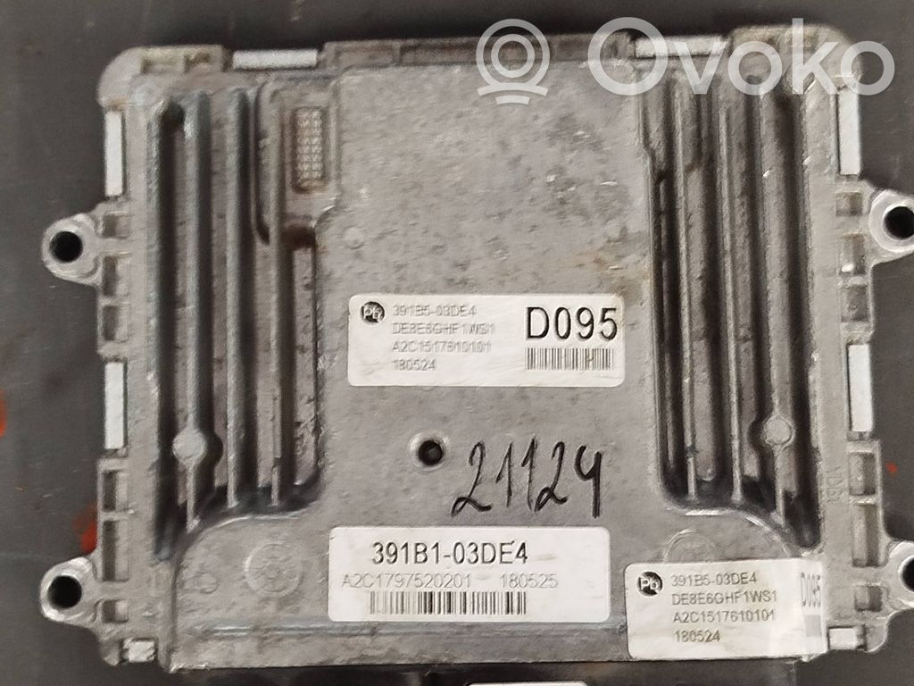Engine control unit/module   391B103DE4,A2C1797520201