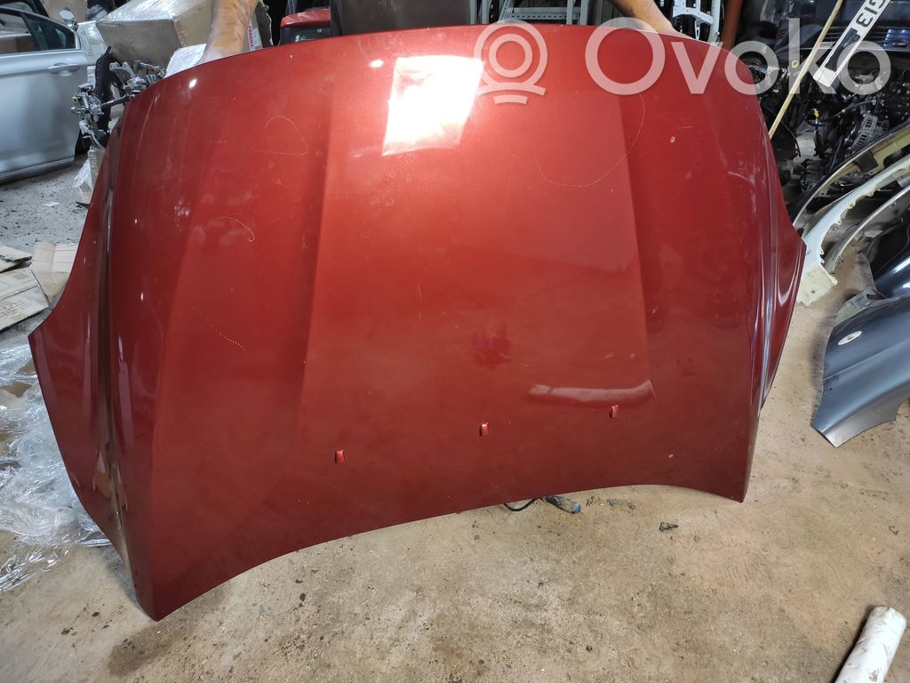 Engine bonnet/hood
