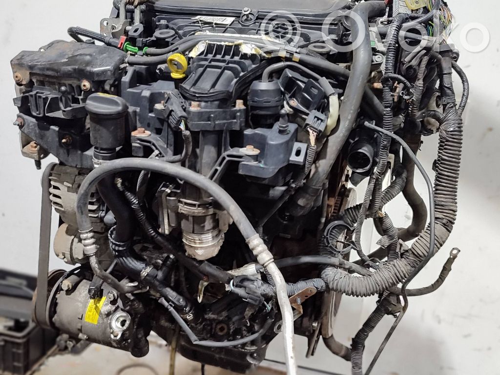 Variklis   D4204T,AV4Q6007DB,EV100,6906275