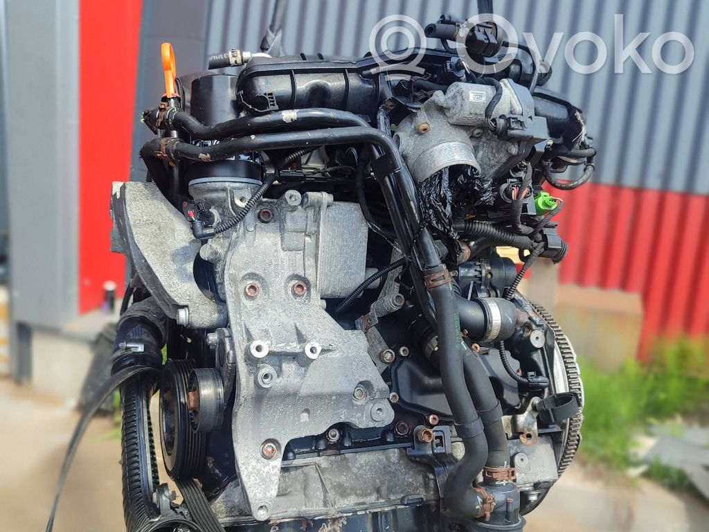 Motor   BZB