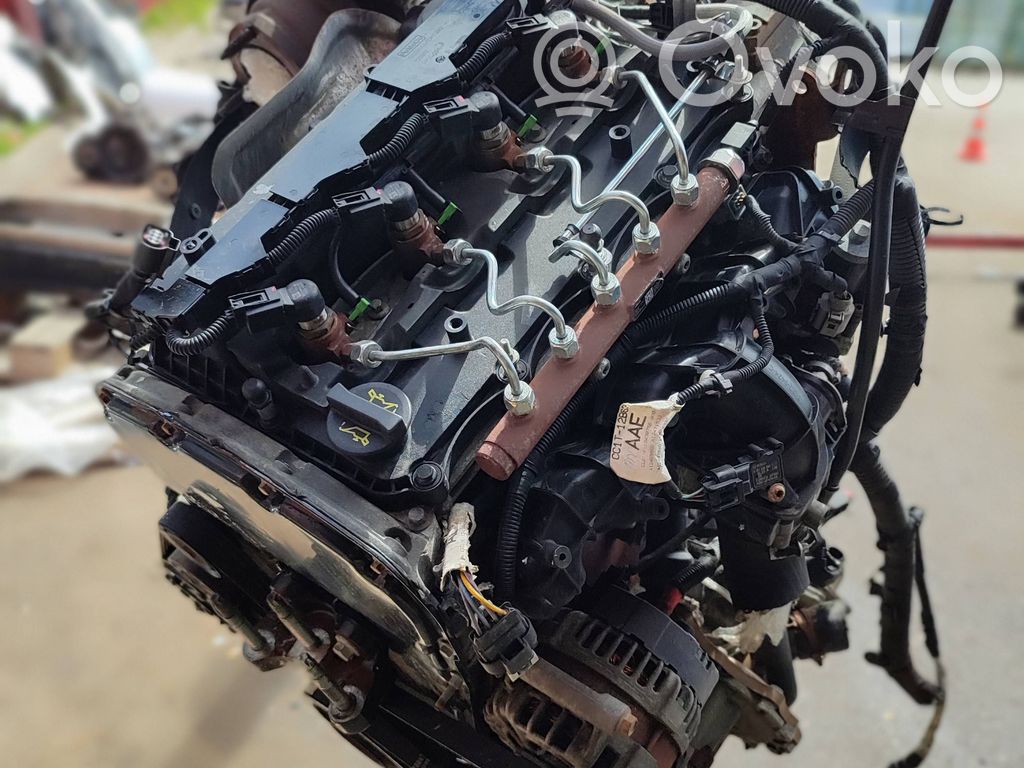 Motor   DRFB,BK209K546AG,BK206K682GA