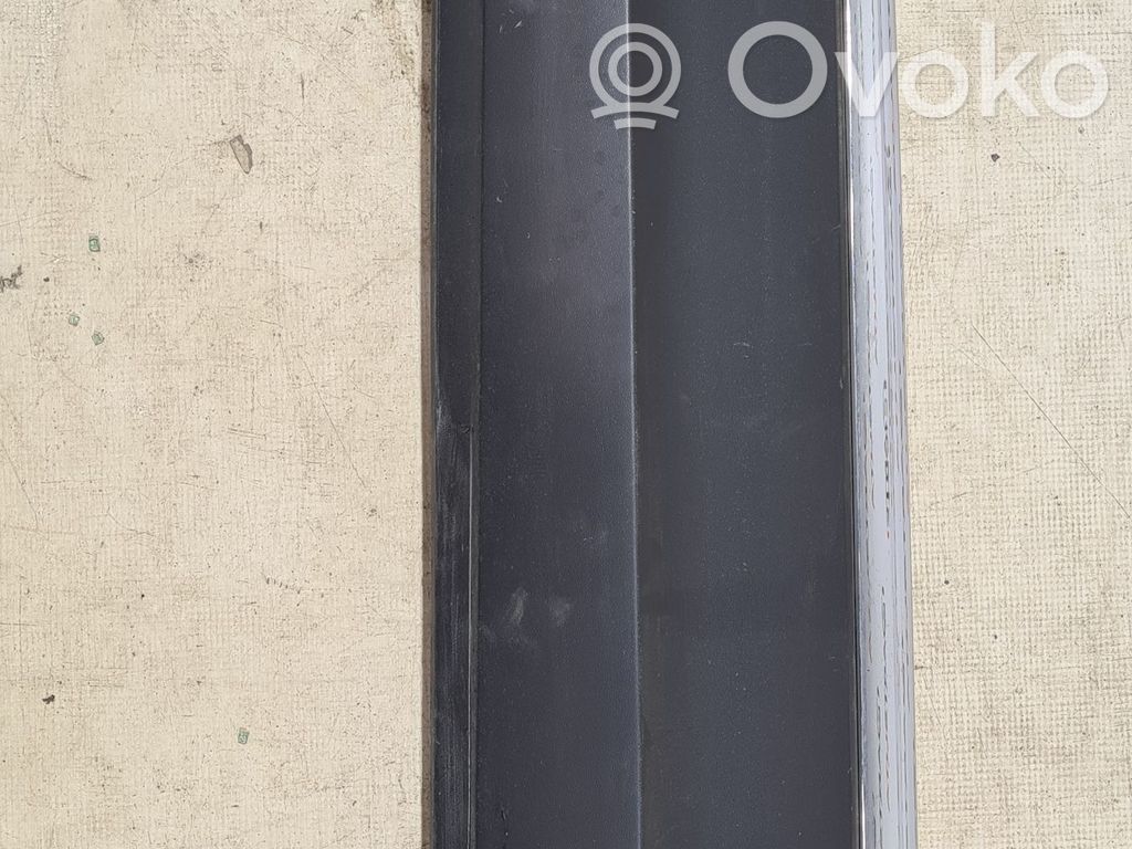 Volkswagen Tiguan Front door trim (molding) 