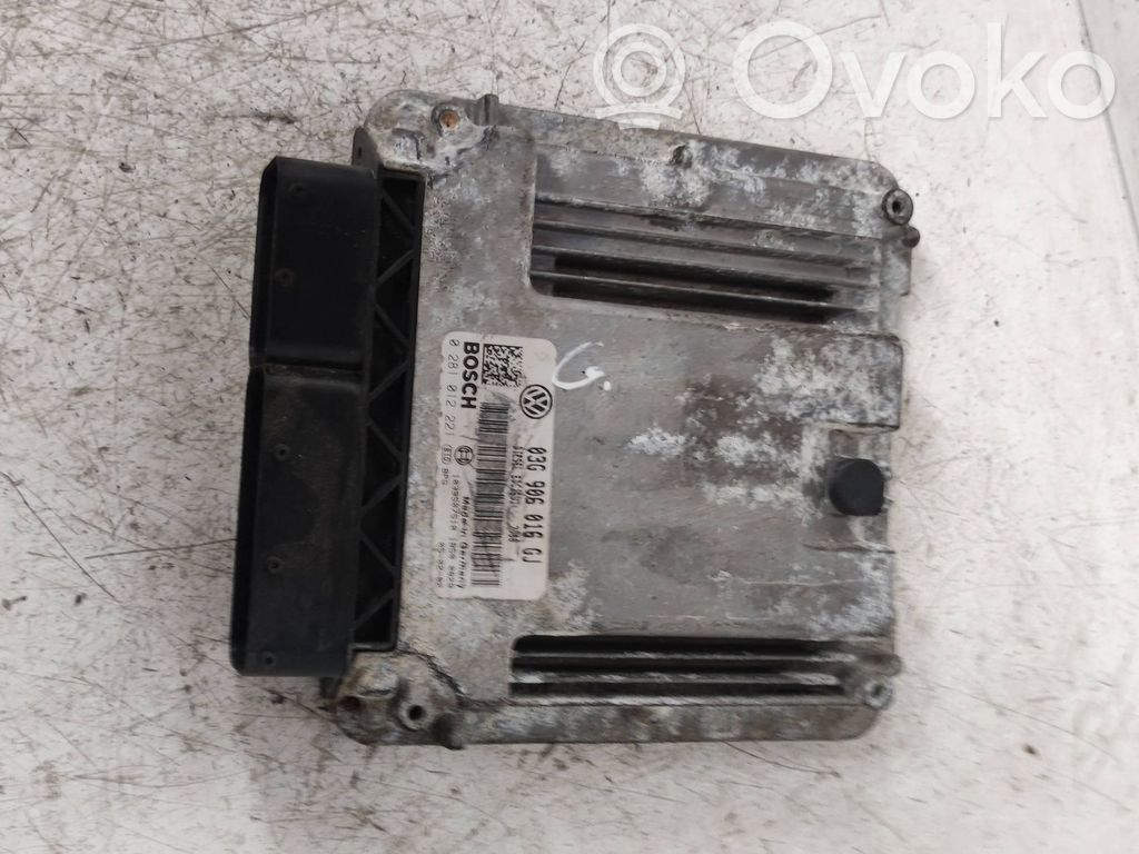 Volkswagen Golf V Engine control unit/module 