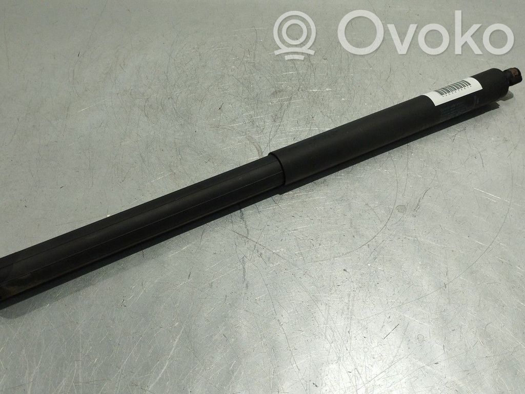 Tailgate/trunk strut/damper   39040433,LDRT