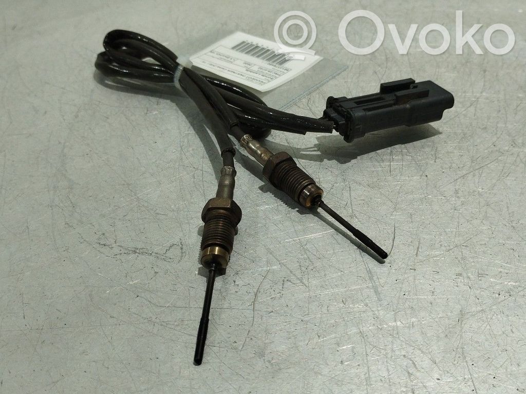 Sonda lambda   9812376480