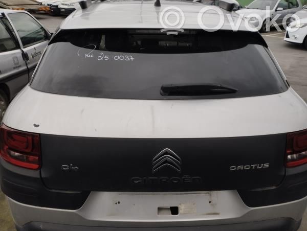 Tailgate/trunk/boot lid