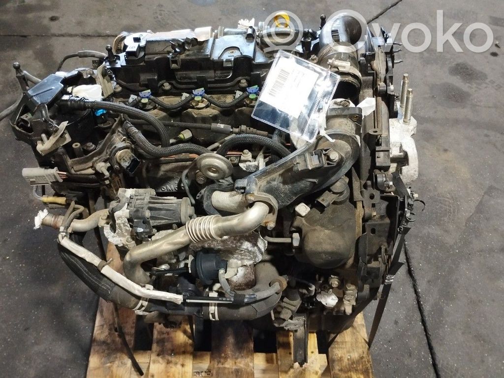 Ford Focus Motor 