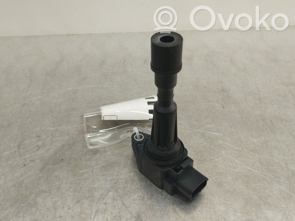 High voltage ignition coil   ZJ2018100