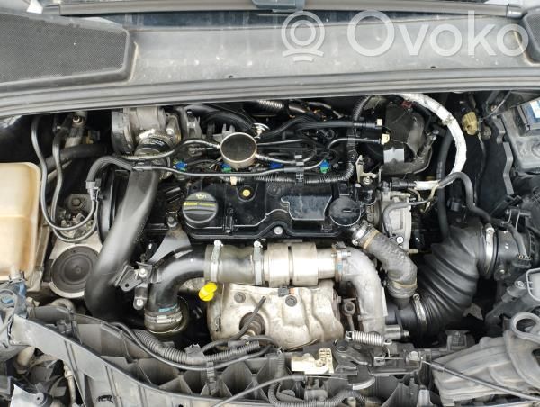 Motor   XWDE